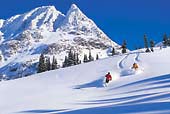 Platinum Vacation Group offers vacation home rentals in Whistler, Canada including vacation rentals, furnished condos, ski chalets, townhomes, ski villas, suites, ski chalets and self contained accommodation. Ski lodging in Whistler, British Columbia