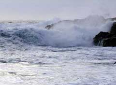 Tofino, Vancouver Island is the ideal vacation destination for your trip to British Columbia, Canada. Platinum Vacation Group offers vacation rental accommodation in Tofino, Clayoquot Sound, and Chesterman Beach.