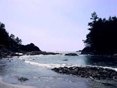 Ocean view lodging in Tofino, British Columbia by Platinum Vacation Group on Vancouver Island.