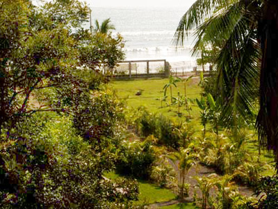 Macaws Ocean Club