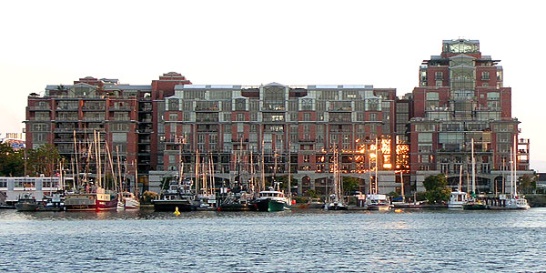 A Harbour View