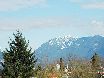 Shaughenessy Haven